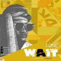 Mr ione - WAIT